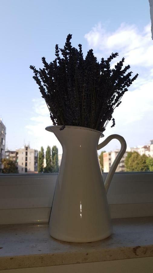 Citylux Apartments Zagreb Dış mekan fotoğraf